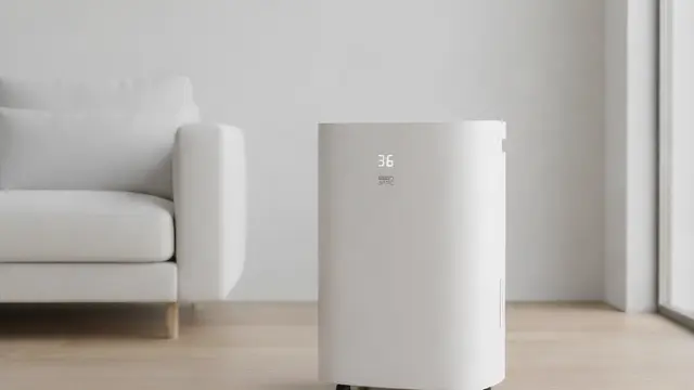 Intensitas Hujan Tinggi, Ini Peran Dehumidifier dalam Menjaga Kualitas Udara di Rumah