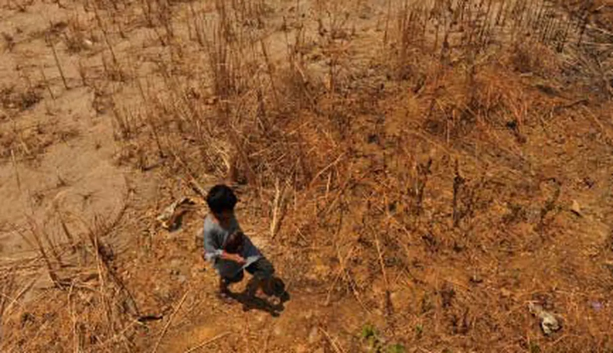 Seorang bocah melintas di areal perkebunan yang kering di Kabupaten Maros, Sulsel. Akibat musim kemarau, warga di daerah tersebut kekurangan air bersih. (Antara)