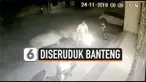 vertical diseruduk banteng