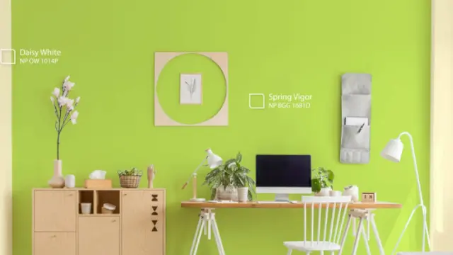 Ini 5 Aplikasi Warna Hijau Bolu Pandan di Rumah yang Bisa Kamu Coba