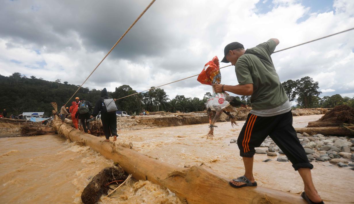 Evakuasi dan penyaluran bantuan darurat juga terus dilakukan untuk memenuhi kebutuhan logistik, air bersih, dan layanan kesehatan bagi para pengungsi. Tampak dalam foto, seorang pria memegang ayam sambil berjalan di atas kayu gelondongan yang digunakan sebagai jembatan darurat di sebuah desa yang terdampak banjir bandang di Batang Toru, Sumatera Utara, Senin 1 Desember 2025. (AP Photo/Binsar Bakkara)