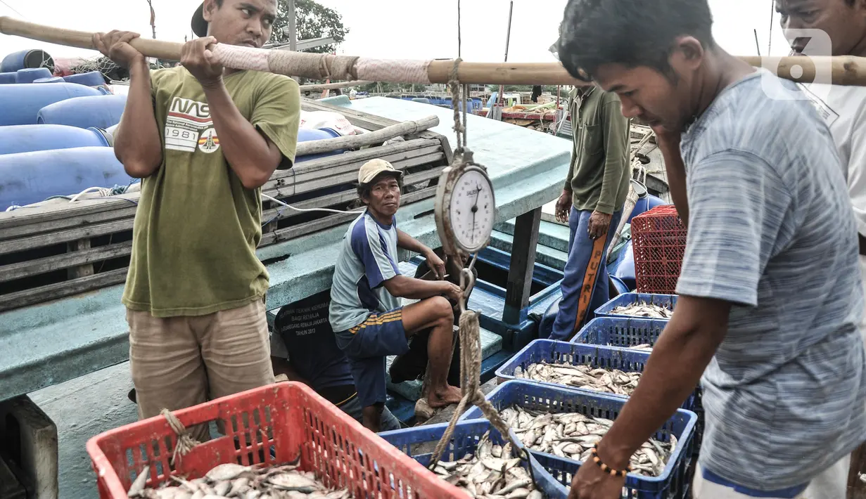 Aktivitas nelayan saat bongkar muat ikan di dermaga Kalibaru, Cilincing, Jakarta, Rabu (23/3/2022). Sejumlah jenis ikan konsumsi harian rumah tangga seperti ikan kembung, layang, cakalang, dan tongkol mengalami kenaikan harga akibat tingginya permintaan jelang Ramadan (merdeka.com/Iqbal S Nugroho)