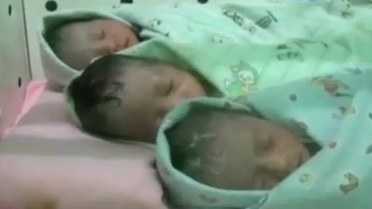 (lip6 Petang) Bayi Kembar 3