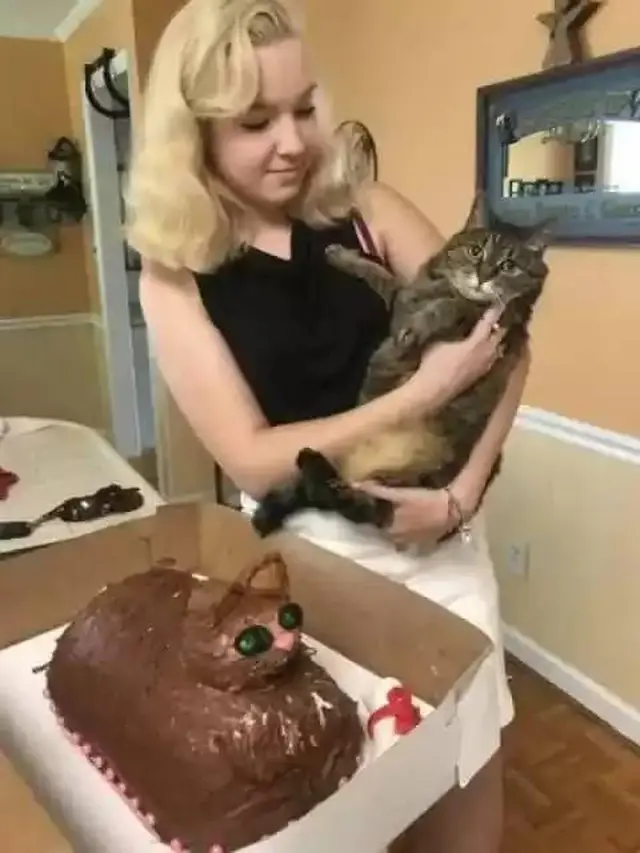 Kocak, 6 Potret Kue Mirip Hewan Ini Tak Sesuai Ekspektasi