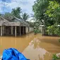 Kondisi banjir yang menggenangi wilayah Kecamatan Kusan Hulu, di Kabupaten Tanah Bumbu, Kalimantan Selatan, Jumat, 20 Agustus 2021 (Kredit foto: Tim Humas BNPB)