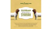 Hewan qurban kini dapat dibeli secara online di muslimarket.com