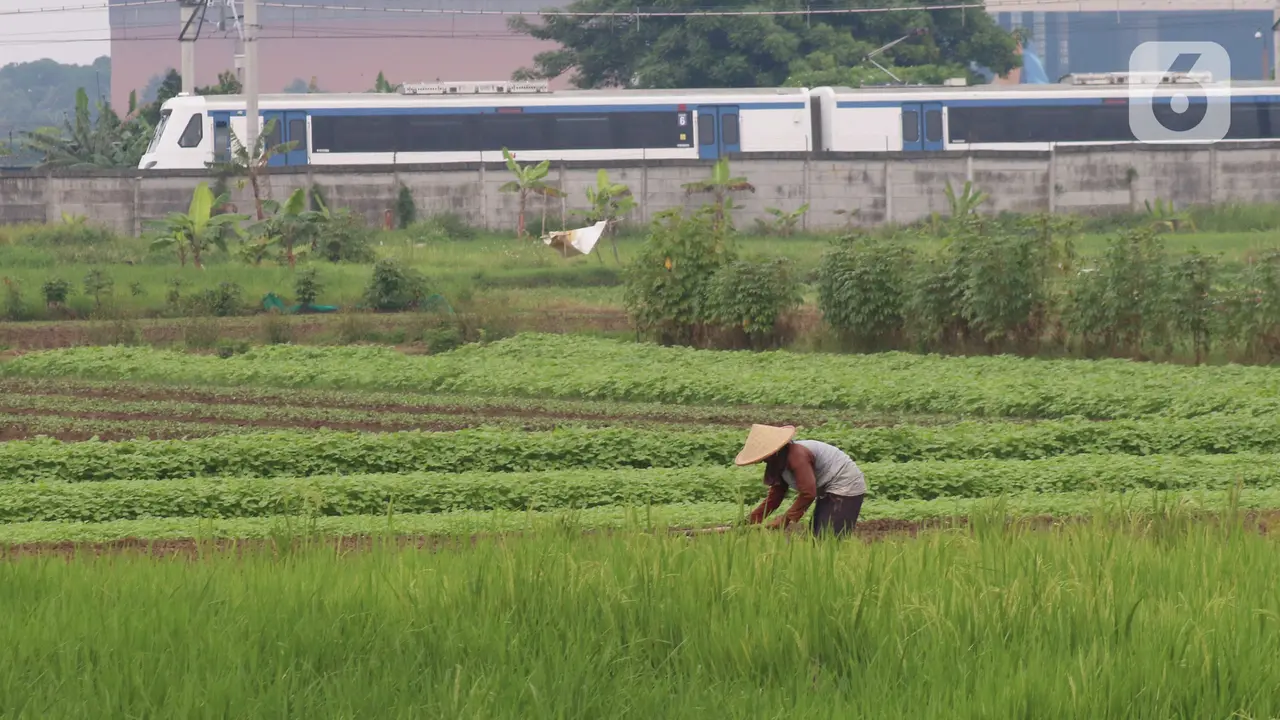 Produksi Pertanian Sebagai Bantalan Ekonomi Nasional