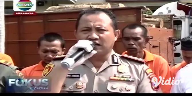 VIDEO: Polisi Ringkus 6 Pelaku Pembalakan Hutan di Banyuwangi