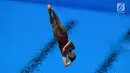 Atlet loncat indah saat tampil di final springboard 1m putri Asian Games 2018, Aquatic Centre, GBK, Jakarta, Jumat (31/8). Nomor ini dimenangkan oleh Wang Han asal China yang berhasil mendapatkan total skor 323.55. (Merdeka.com/Imam Buhori)