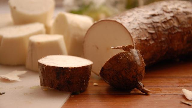 Singkong Belum Terbukti Sembuhkan Kanker Health Liputan6 Com