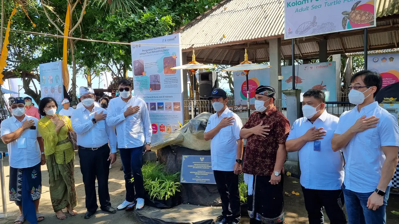 Peluncuran Program CSR Konservasi Laut dari Indosat Ooredoo Hutchison yang diadakan di Jembrana, Bali. Liputan6.com/Agustinus Mario Damar