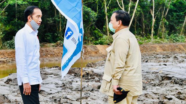 Presiden Jokowi Tinjau Lahan untuk Lambung Pangan Nasional
