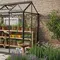7 Model Greenhouse Rumahan yang Cantik dan Fungsional, Cocok untuk Lahan Sempit