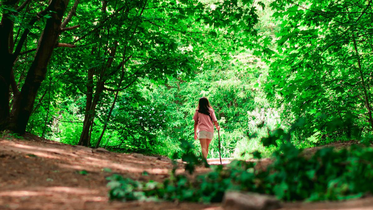 Sensasi Luxury Trekking, Menikmati Alam dengan Fasilitas Premium