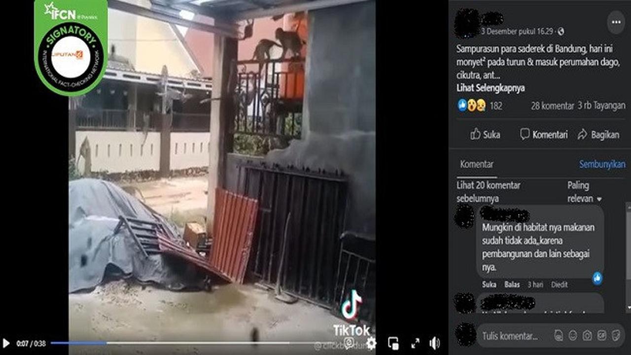 Gambar Tangkapan Layar Video yang Diklaim Kawanan Monyet Masuk Perumahan Warga di Bandung dan Dikaitkan dengan Bencana Alam (sumber: Facebook).