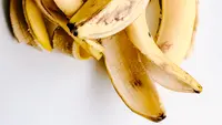 8 Cara Fermentasi Kulit Pisang untuk Pupuk Cair Tanaman Cabai agar Cepat Berbuah