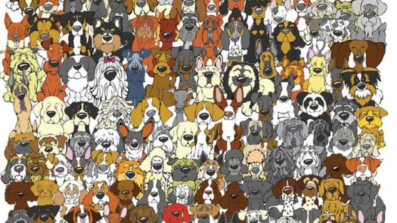 Menemukan Panda di Antara Kerumunan Anjing, Yuk Main!