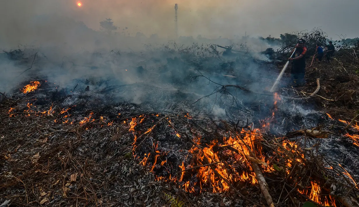 Petugas berusaha memadamkan kebakaran lahan gambut di Kecamatan Siak Hulu, Kabupaten Kampar, Riau, Senin (9/9/2019). Sulitnya sumber air di lokasi kebakaran menjadi kendala petugas untuk memadamkan bara api yang menghanguskan sedikitya lima hektare lahan gambut di kawasan tersebut. (Wahyudi / AFP)