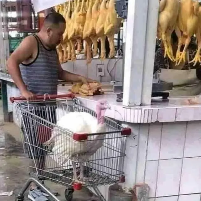 6 Momen Hewan Bak Ingin Belanja di Warung Ini Bikin Penjual Panik