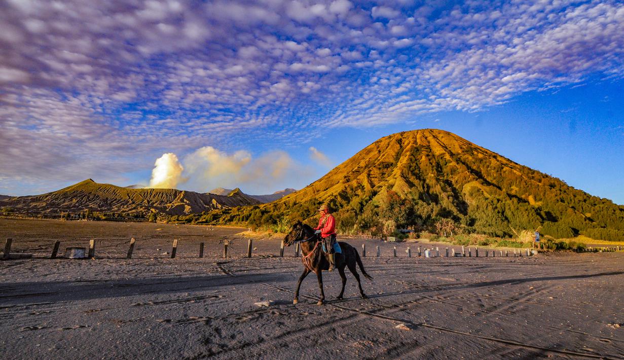 Dengan pesona alam yang terus memukau dari generasi ke generasi, Gunung Bromo tetap menjadi destinasi impian yang wajib dikunjungi setiap pencinta alam dan pelancong yang ingin merasakan keindahan Indonesia secara utuh. Tampak dalam foto, warga Tengger berkuda di Lautan Pasir Bromo, Jawa Timur. (merdeka.com/Arie Basuki)