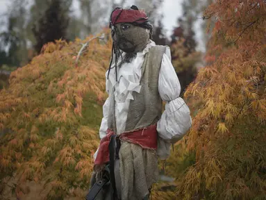 Sebuah orang-orangan sawah ditampilkan dalam Festival Orang-orangan Sawah tahunan jelang perayaan Halloween di Langley, British Columbia, Kanada (19/10/2020). (Xinhua/Liang Sen)