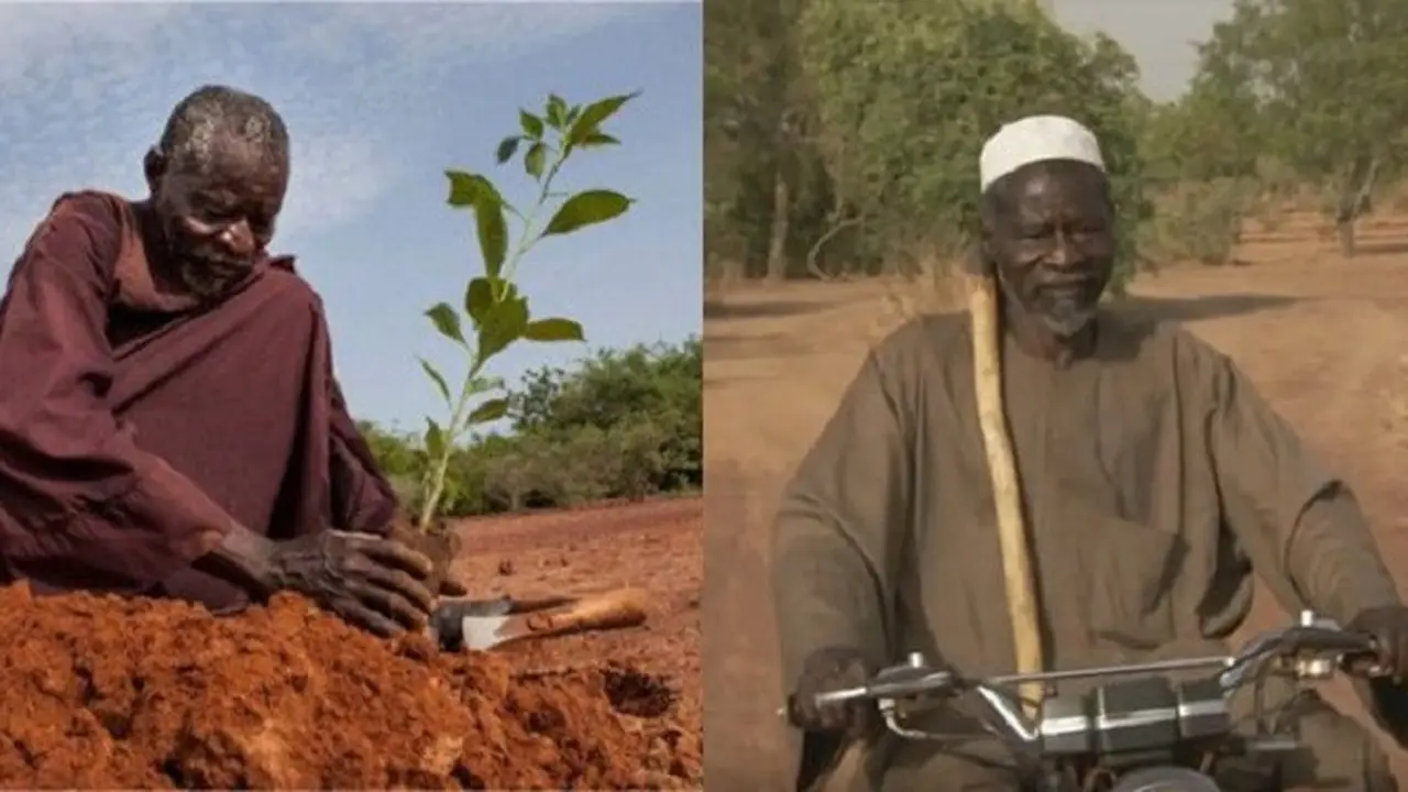 [Bintang] Afrika Hijau