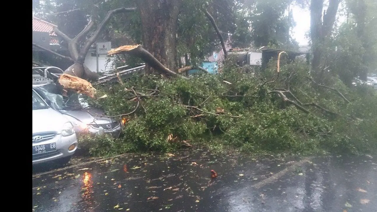 Bandung Diguyur Hujan Deras, Pohon Tumbang Timpa Mobil di ITB