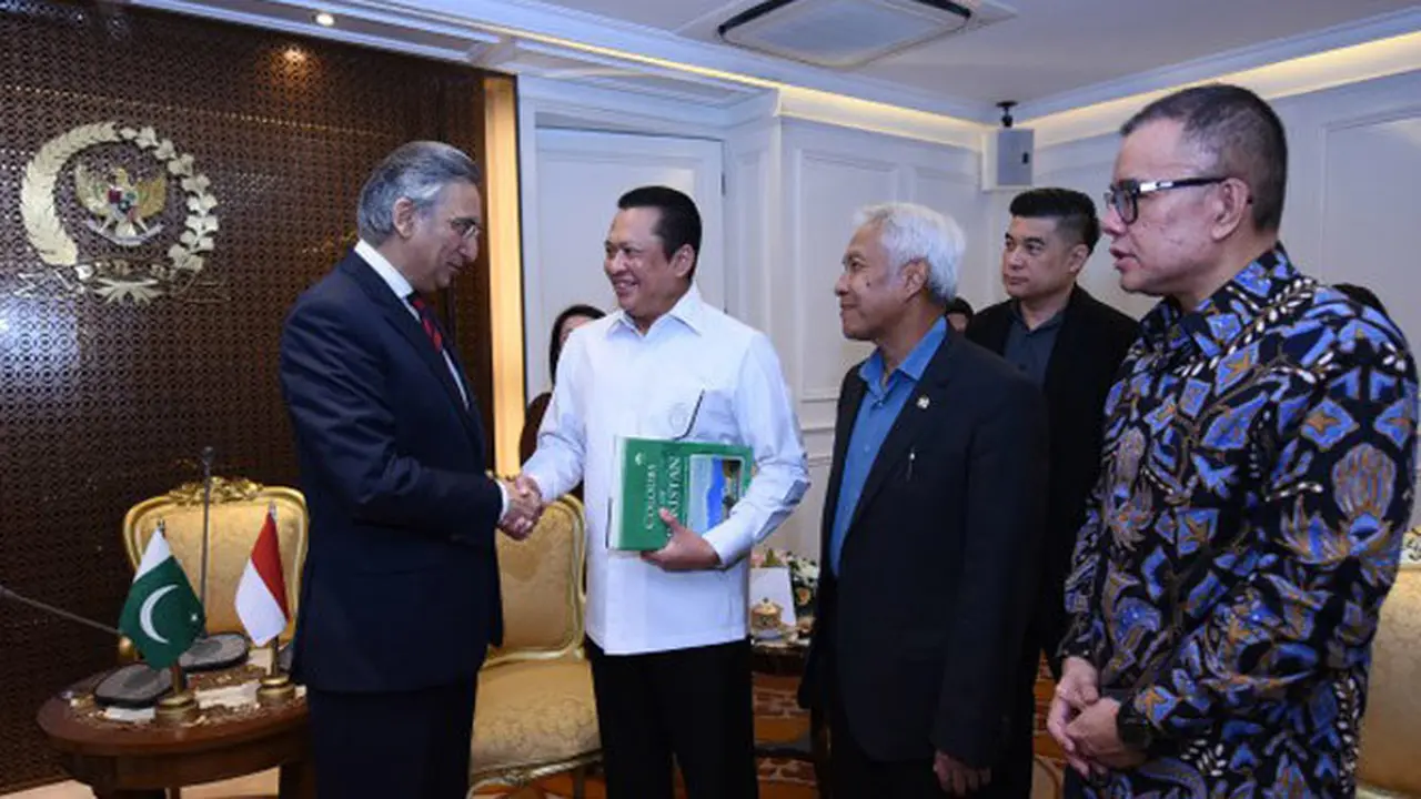DPR Dorong Peningkatan Kerja Sama Indonesia-Pakistan