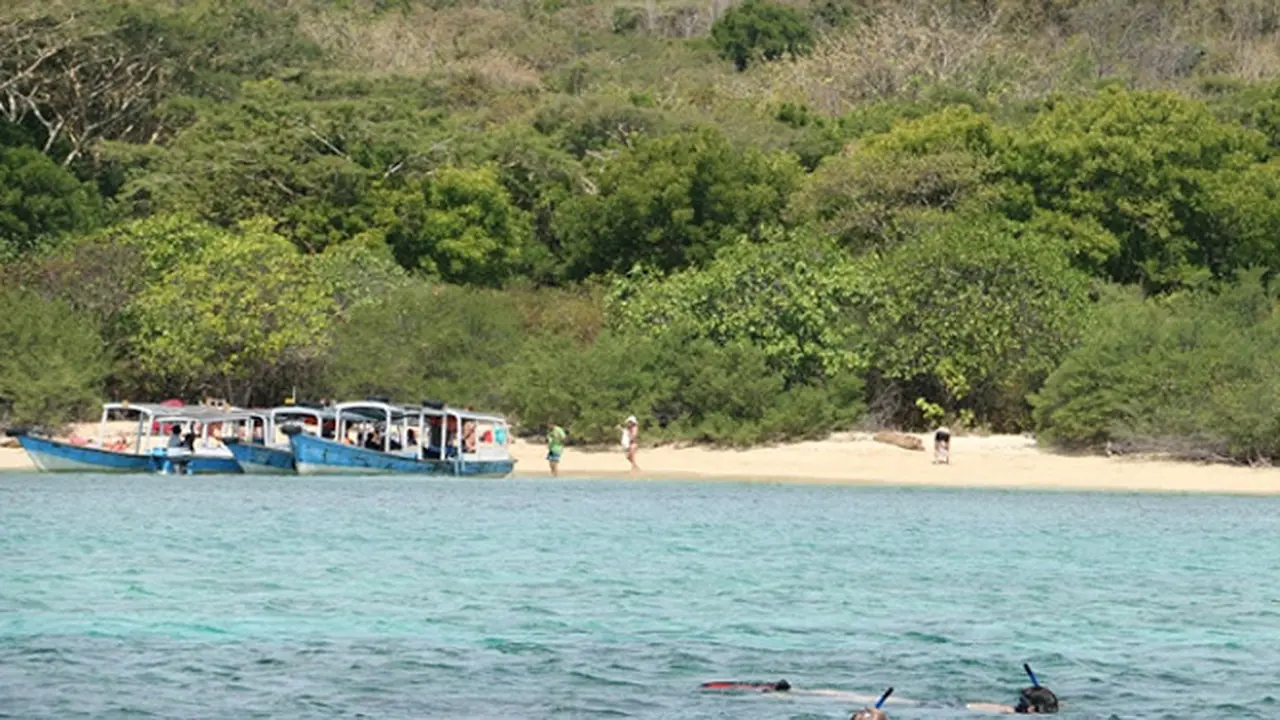 Wisata ke Pulau Menjangan, Aduhai Indahnya