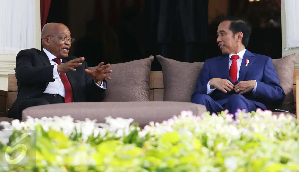 Presiden Jokowi berbincang dengan Presiden Republik Afrika Selatan Jacob Zuma di Istana Merdeka Jakarta, Rabu (8/3). Usai melakukan prosesi penyambutan, Presiden Jokowi mengajak Presiden Afrika Selatan melakukan 'Veranda Talk'. (Liputan6.com/Angga Yuniar)