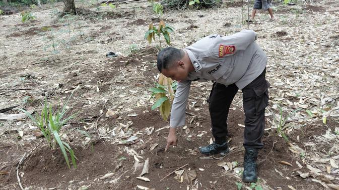 Viral Warga Lampung Timur Temukan Jejak Diduga Harimau Sumatera, Ini Penjelasan BKSDA