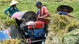 Target tersebut dipatok meski Bali diprediksi menghadapi musim kemarau panjang dengan puncak kekeringan pada September 2026 mendatang. Tampak dalam foto, para petani sedang mengirik padi hasil panen di Denpasar, Bali, pada Kamis 30 April 2026. (SONNY TUMBELAKA/AFP)