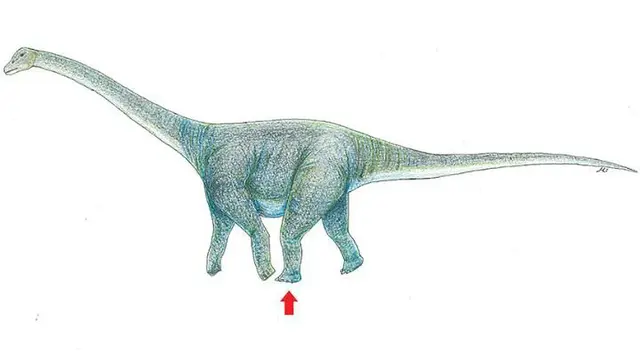 Ilustrasi dinosaurus yang diperkirakan meninggalkan jejak kaki di Gurun Gobi