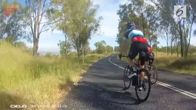 Beredar rekaman video seorang wanita ditabrak seekor kangguru saat bersepeda.