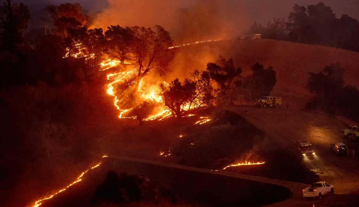 Api membakar lereng bukit di kawasan Sonoma, California, Amerika Serikat, Sabtu (26/10/2019). Kebakaran hutan kian tak terkendali akibat angin kencang yang bertiup. (AP Photo/Nuh Berger)