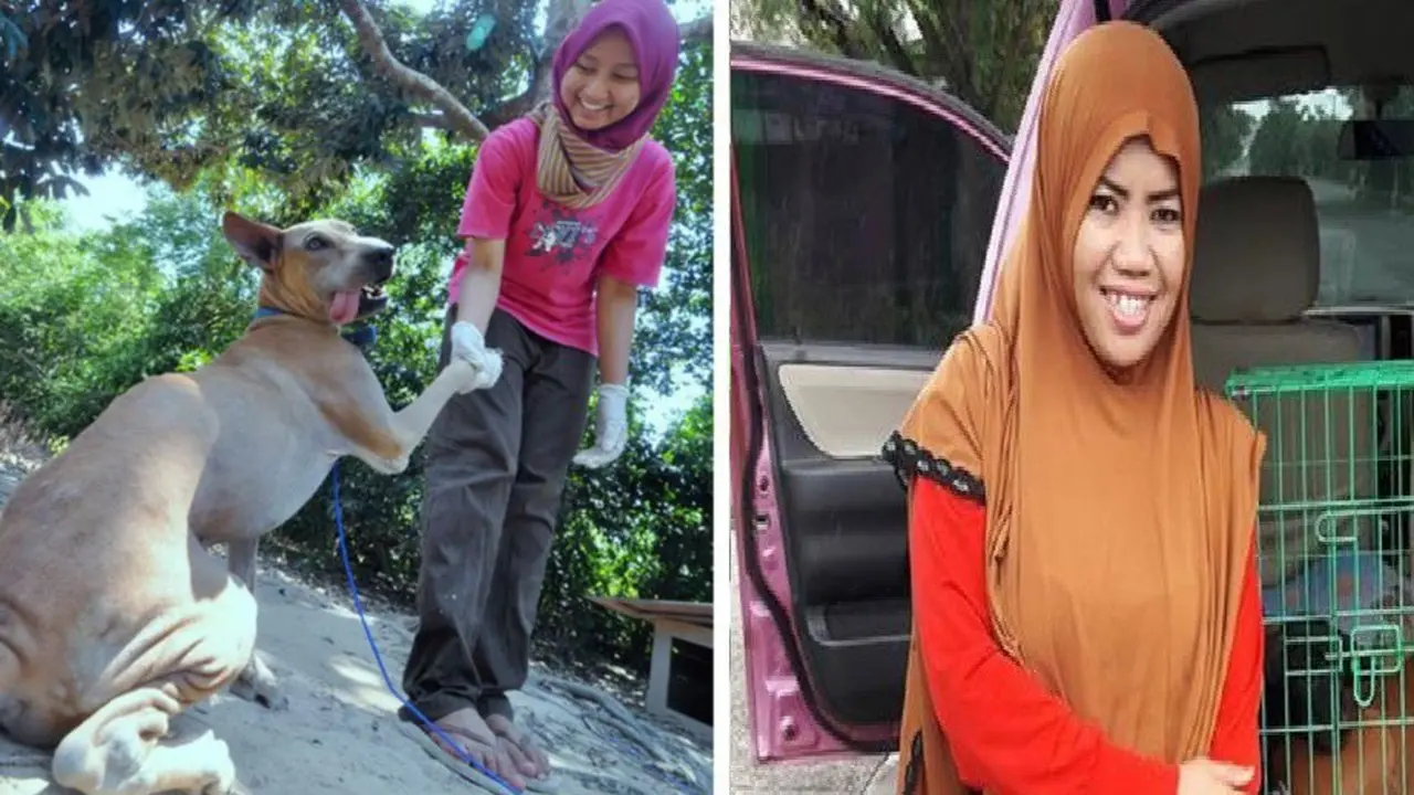 [Bintang] Anjing dan majikan berjilbab