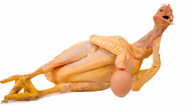 (C) santridrajat.blogspot.com