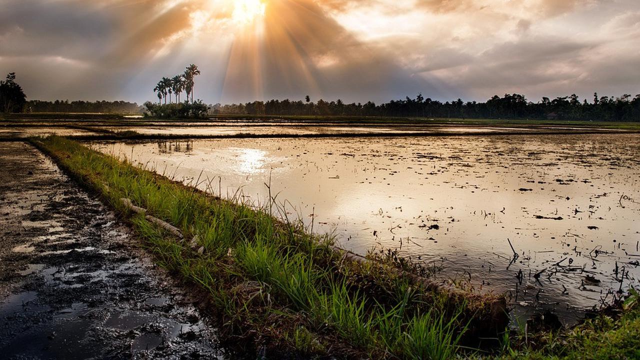 Jenis tanah Indonesia