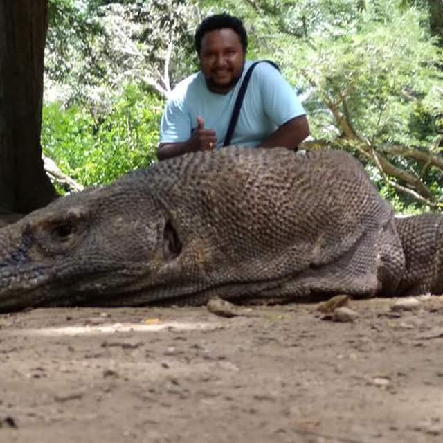 47 Gambar Sketsa Hewan Komodo Gratis Terbaru