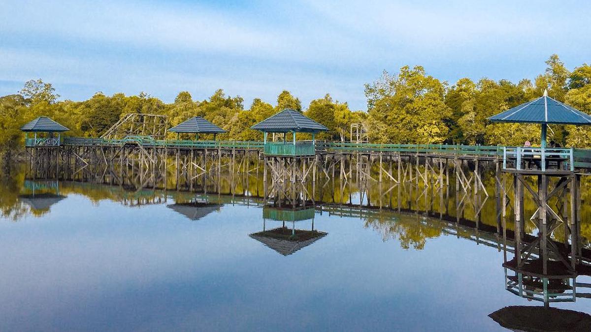 10 Wisata Palangkaraya, Pamerkan Keindahan Alam yang Indah dan Menawan - Vimarsana News