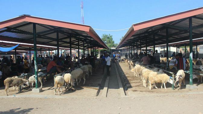 Mendekati Hari Raya Idul Adha transaksi jual beli hewan kurban di Pasar Pleret makin ramai, Selasa (24/7). (KRJogja.com/Sukro Riyadi)
