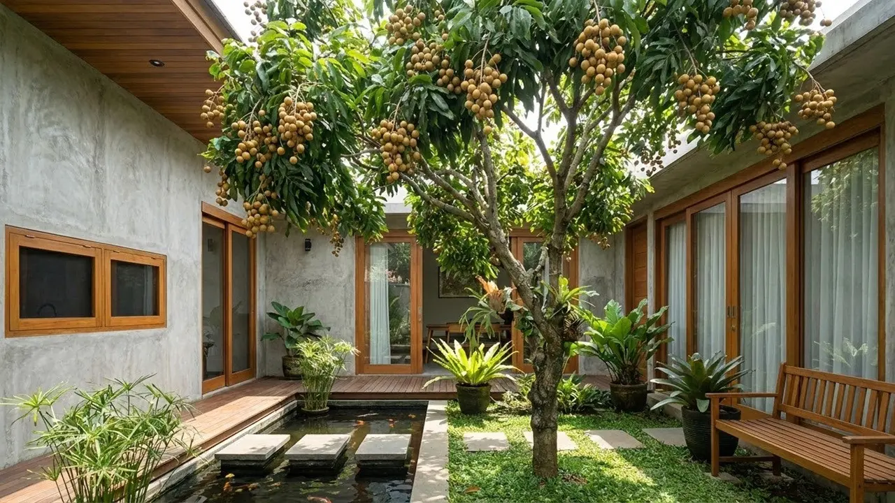 Buah  Cocok Ditanam di Halaman Belakang