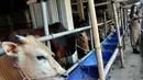 Jangan takut konsumsi daging sapi dan daging kambing meski Anda sedang berdiet (Liputan6.com/Miftahul Hayat)