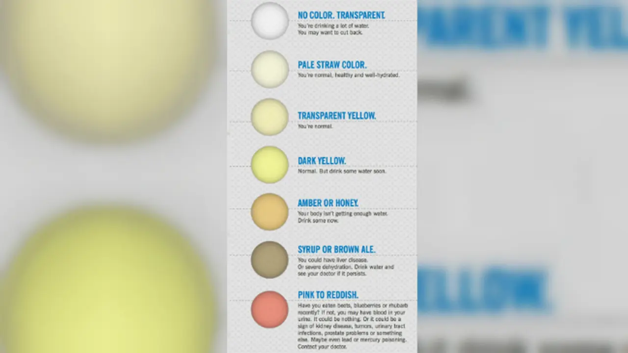 Warna urin dan tinja (2)
