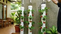 9 Ide Kebun Buah Vertikal di Teras, Konsep Kebun Modern dan Produktif