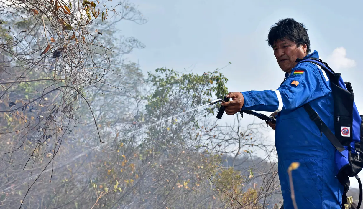 Presiden Bolivia Evo Morales menyemprotkan air saat berusaha memadamkan api dalam kebakaran hutan di pinggiran Robore, Bolivia, Selasa (27/8/2019). Kebakaran telah menghancurkan lebih dari 1,2 juta hektare hutan Bolivia tahun ini. (Raul Martinez/Bolivia's Communication Ministry press office via AP)