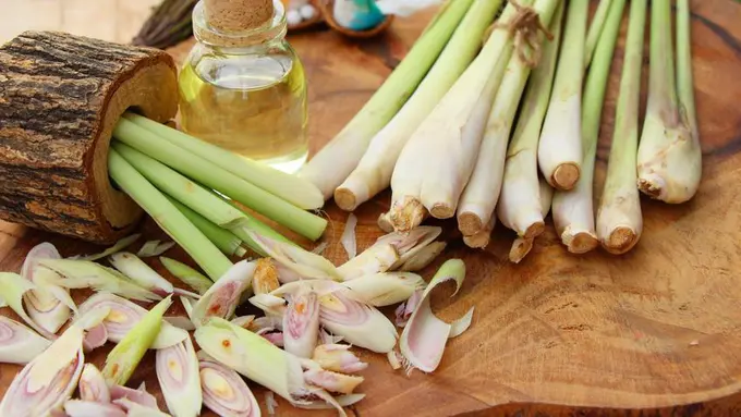 Sereh, Bahan Alami untuk Mengusir Serangga