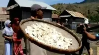 Gagal Panen Akibat Kemarau, Warga Bima Konsumsi Ubi Beracun
