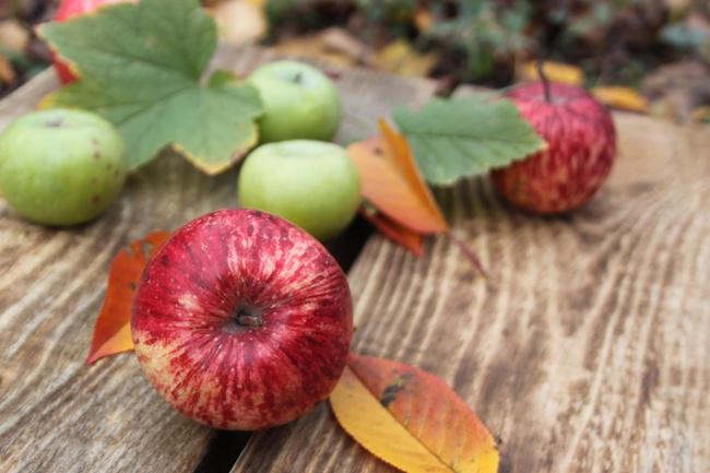 Buah apel mengandung nutrisi yang sangat baik buat kulit/copyright pixabay.com/Mihail-Hukuna