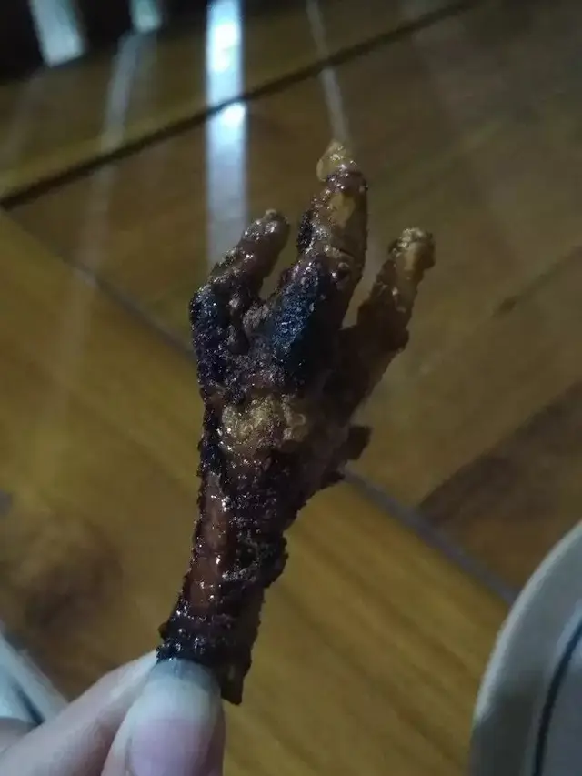 6 Momen Apes Masak Ceker Sampai Gosong Ini Bikin Elus Dada